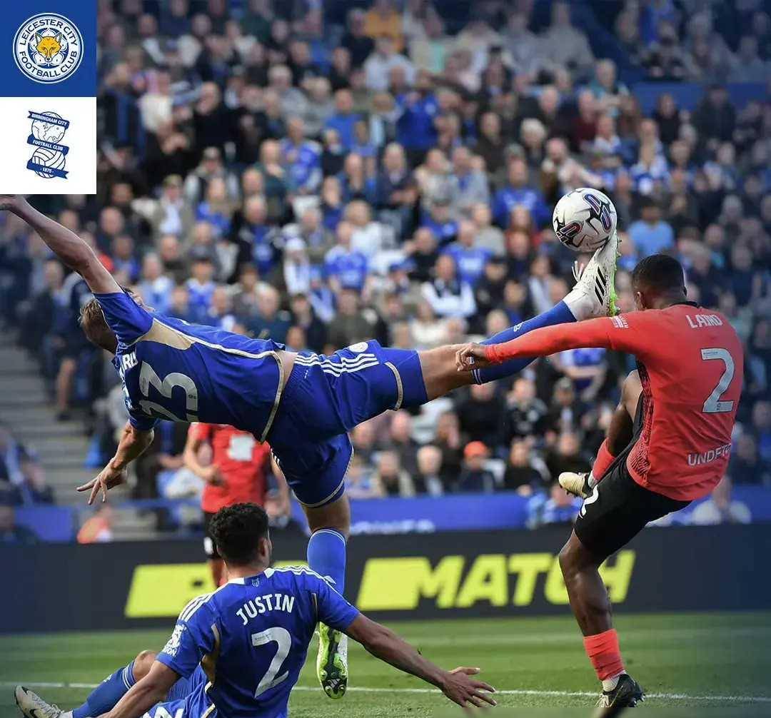 关于欢庆胜利！球队高奏凯歌登顶巅峰的信息