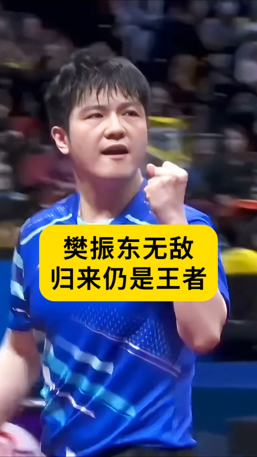 法国乒乓球队力克瑞典乒乓球队，樊振东送出助攻的简单介绍