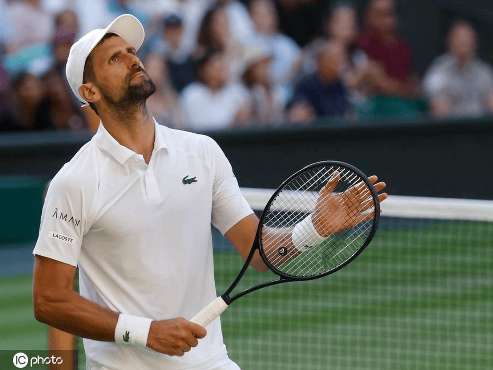 德国网球队逆转法国网球队，德约科维奇关键制胜的简单介绍