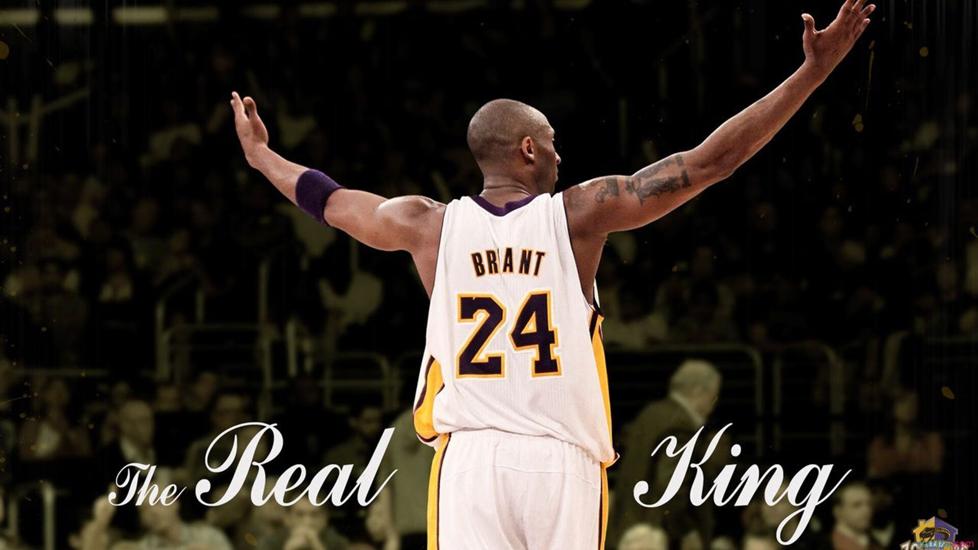 末节风暴!浙江队主场力克国王,武切维奇关键先生本色尽显